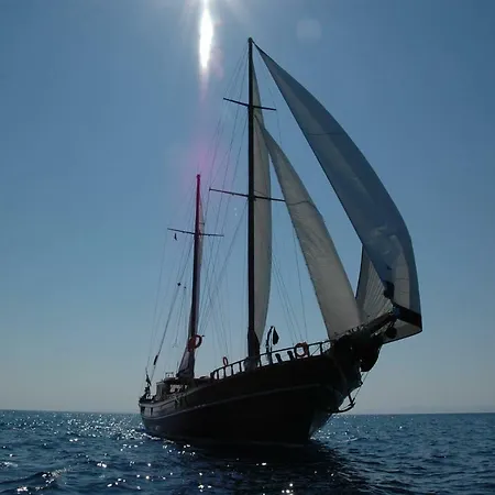 Boat The Umoja Experience *